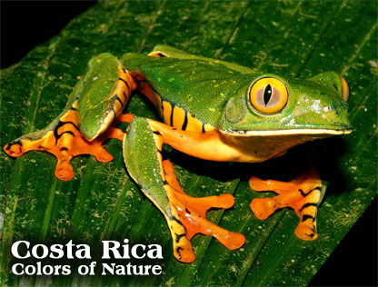 COSTA RICA - Colors of Nature