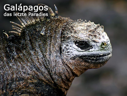 Galápagos das letzte Paradies