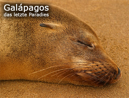 Galápagos das letzte Paradies