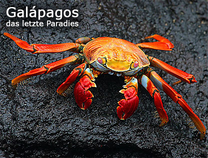 Galápagos das letzte Paradies