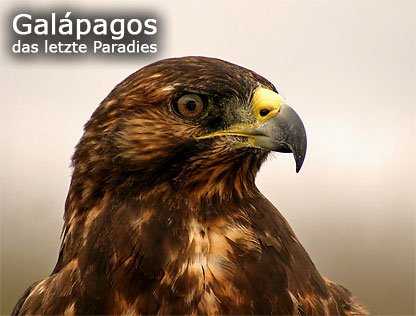 Galápagos das letzte Paradies