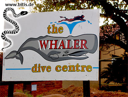 Südafrika - Aliwal Shoal 2003